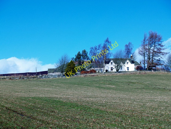 Photo 6"x4" Farm, Brae of Pitcastle Strathtay c2008
