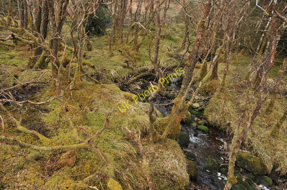 Photo 6"x4" Allt Coire Uainean Beag Beinn Bh\u00e0n\/NN0566 c2010