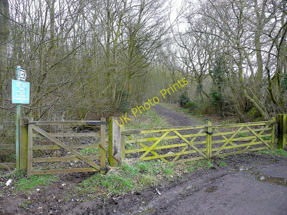 Photo 6"x4" Bridleway at Cobbler's Coppice Timberhonger c2010
