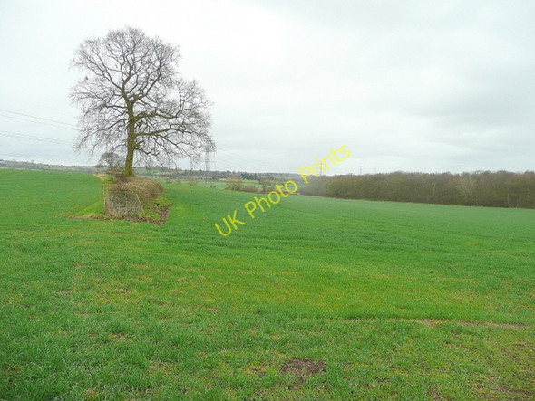 Photo 6"x4" Worcestershire arable land Timberhonger c2010