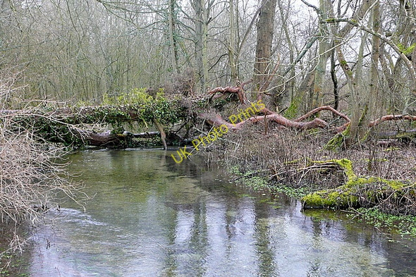 Photo 6"x4" River Dever Wonston\/SU4739 c2010 P1