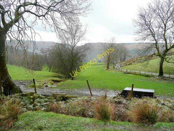 Photo 6"x4" Cwm Bodringallt 2 Ferndale\/SS9996 c2010