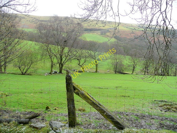 Photo 6"x4" Cwm Bodringallt 3 Ferndale\/SS9996 c2010