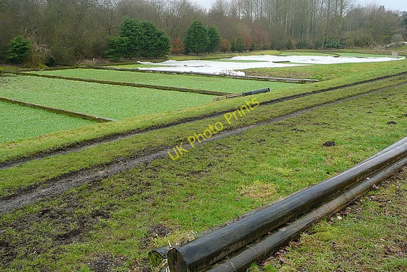 Photo 6"x4" Watercress beds Hunton\/SU4839 c2010
