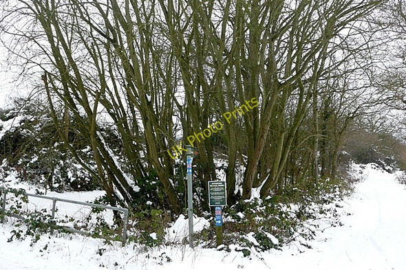 Photo 6"x4" Along the Devil's Highway West End Green c2010
