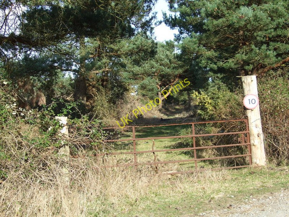 Photo 6"x4" Line of Tramway, Newton Heath, Studland Bushey\/SY9883 c2010