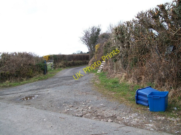 Photo 6"x4" Farm road to Tyddyn Llanarmon c2010