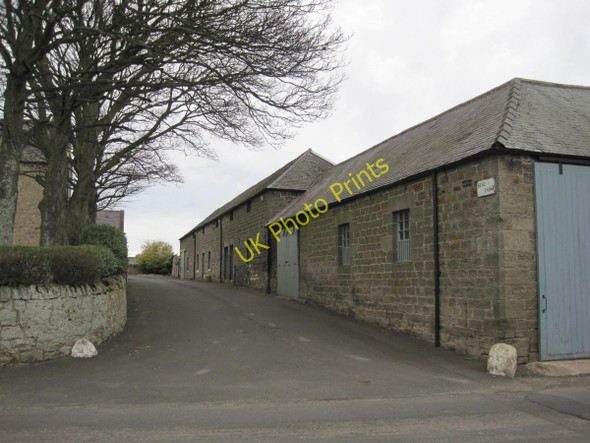 Photo 6"x4" Farm Buildings at Beal Farm Beal\/NU0642 c2010