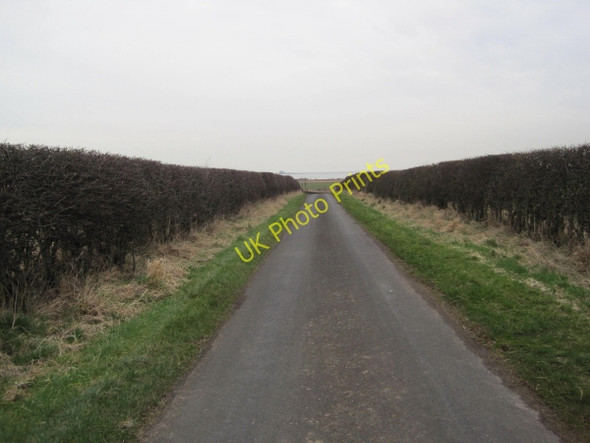 Photo 6"x4" Road to Lowmoor Point and Fenham-le-Moor Detchant c2010