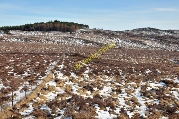 Photo 6"x4" Fence boundary on the moorland Crask of Aigas c2010