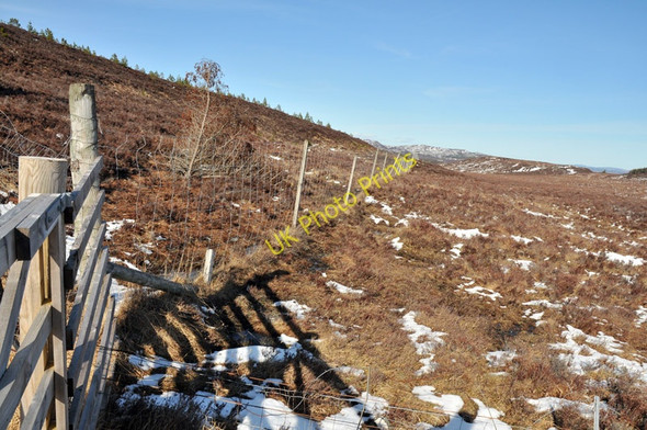 Photo 6"x4" Gate and fence across the moorland Crask of Aigas c2010