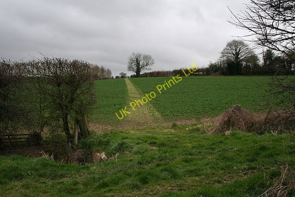 Photo 6"x4" Well Marked Path, Much Marcle Much Marcle c2008