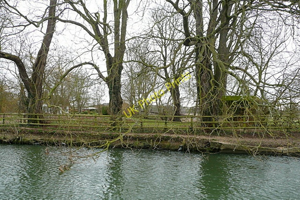 Photo 6"x4" River bank opposite Cholsey North Stoke\/SU6186 c2010