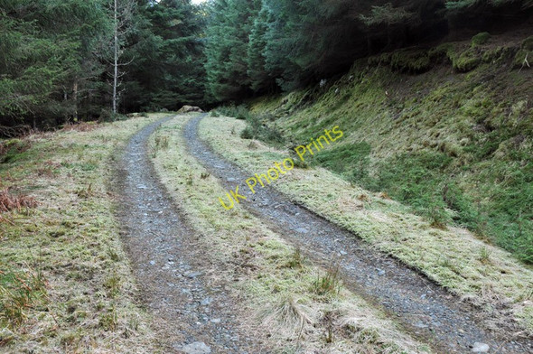 Photo 6"x4" Forest road near Glenfintaig Clunes c2010