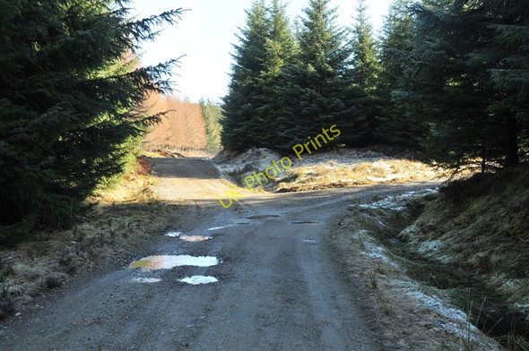 Photo 6"x4" Forest road junction near Spean Bridge Aonachan c2010