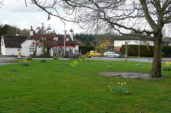 Photo 6"x4" Riseley village green Riseley\/SU7263 c2010
