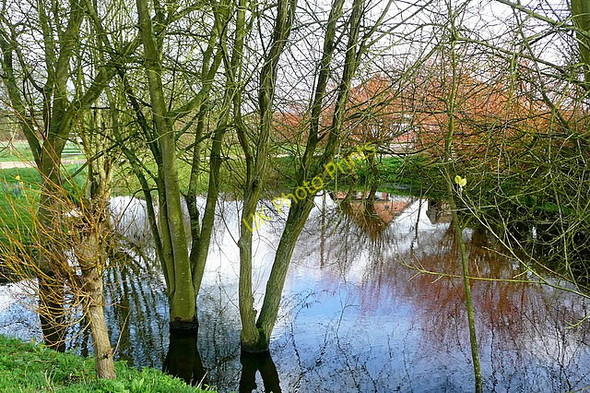 Photo 6"x4" Pond at Sheldons Farm Hound Green c2010