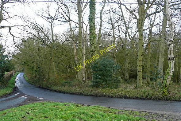 Photo 6"x4" Chandlers Green Chandlers Green c2010