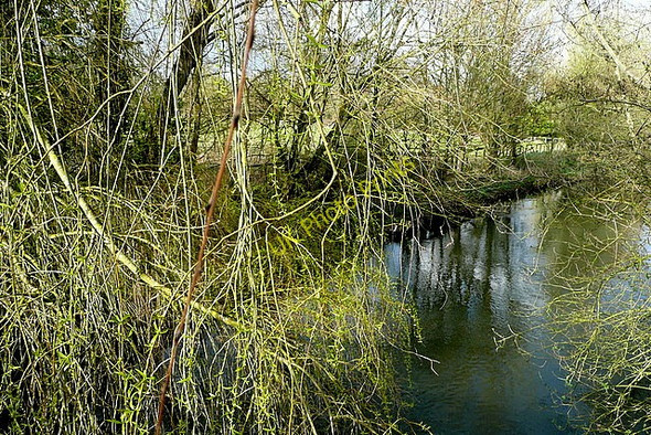 Photo 6"x4" From Broadford Bridge Stratfield Saye c2010