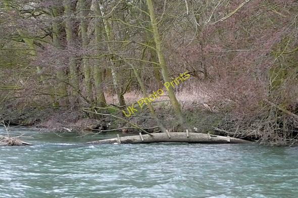 Photo 6"x4" Fallen into the Thames Bridge End\/SU5793 c2010