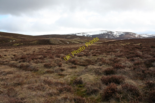 Photo 6"x4" Moorland near Fae Fae c2010