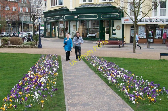 Photo 6"x4" Floral display in Mostyn Street Llandudno c2010