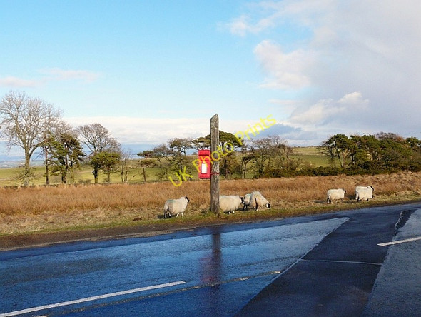 Photo 6"x4" An isolated postbox Ratten Row\/NY3240 c2010