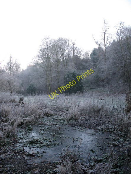 Photo 6"x4" Boggy Meadow - Hermitage of Braid Morningside\/NT2471 c2007