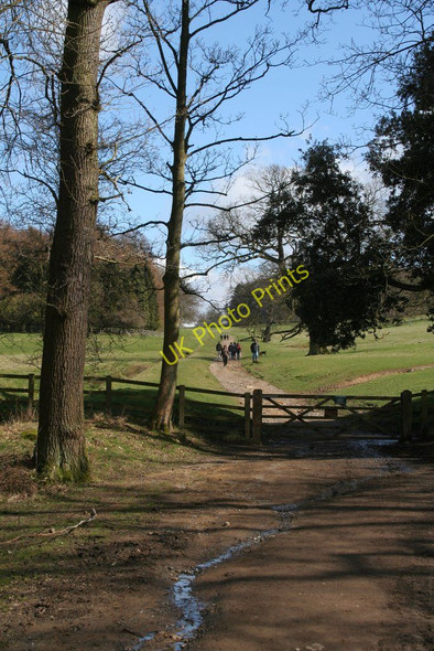 Photo 6"x4" Bridleway to Nan Pie Harewood\/SE3245 c2010