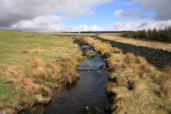 Photo 6"x4" Blackbrook River Princetown\/SX5873 c2010