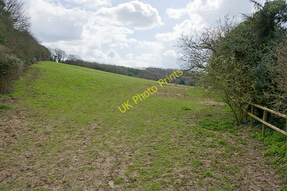 Photo 6"x4" Footpath off Dundridge Lane Dundridge\/SU5718 c2010