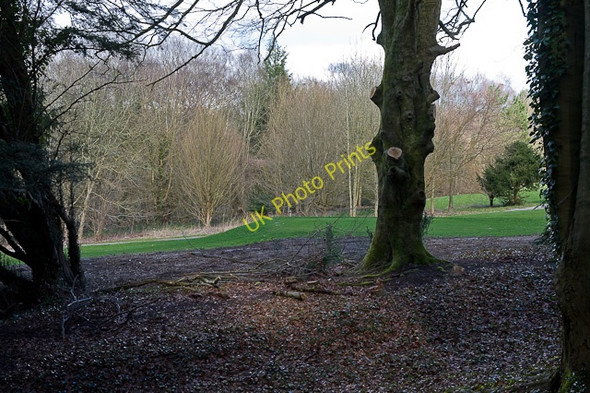 Photo 6"x4" Tee at western end of Corhampton Golf Course Dean\/SU5619 c2010