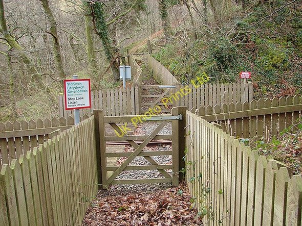 Photo 6"x4" Vale of Rheidol Railway foot crossing Aberffrwd\/SN6878 c2008