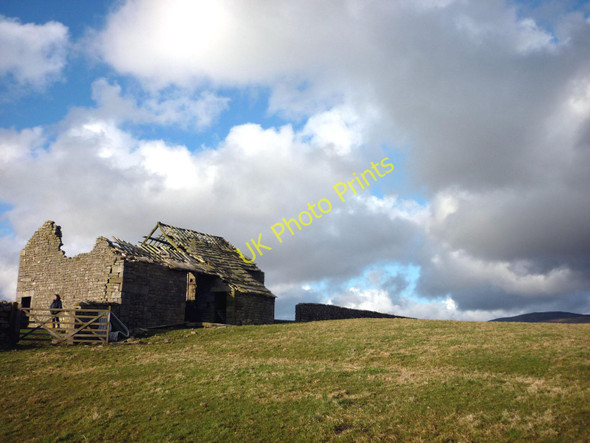 Photo 6"x4" Ruined barn Hare Appletree c2010