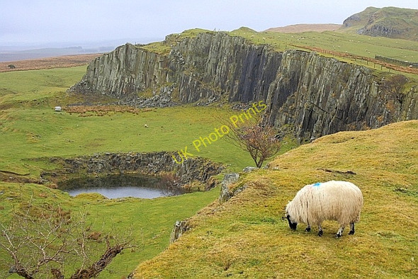 Photo 6"x4" Disused Quarry and Walltown Crags Greenhead\/NY6665 c2010