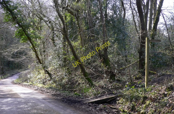 Photo 6"x4" Footpath near Furzefield Ramsnest Common c2010