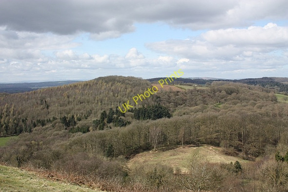 Photo 6"x4" View from Chase End Hill towards High Wood Chase End Street c2010
