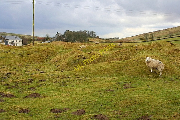 Photo 6"x4" Humps and Bumps Near to Once Brewed Birkshaw\/NY7765 c2010