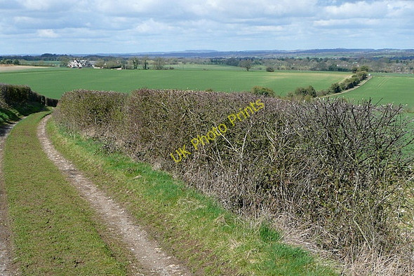 Photo 6"x4" Byway towards Cliddesden Winslade\/SU6548 c2010