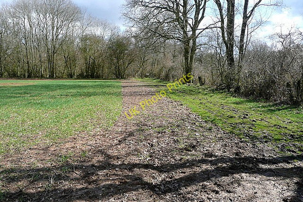 Photo 6"x4" Towards Merritt's Copse Upper Common\/SU6345 c2010