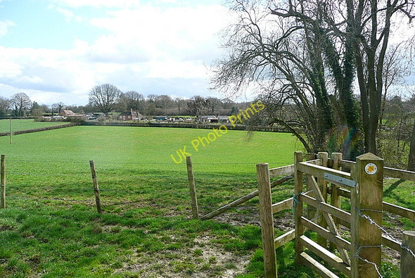 Photo 6"x4" Towards Bagmore Bagmore\/SU6644 c2010