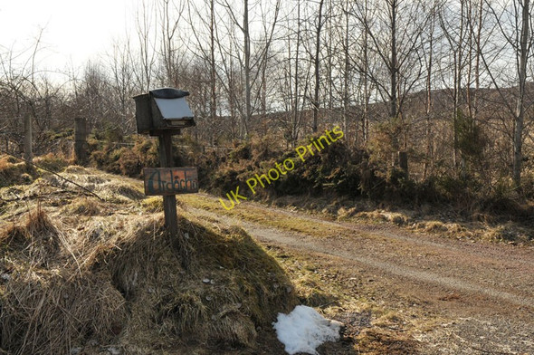 Photo 6"x4" Access track to Ardochy Crask of Aigas c2010