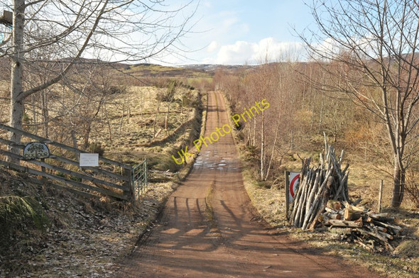 Photo 6"x4" Track to Culour Crask of Aigas c2010