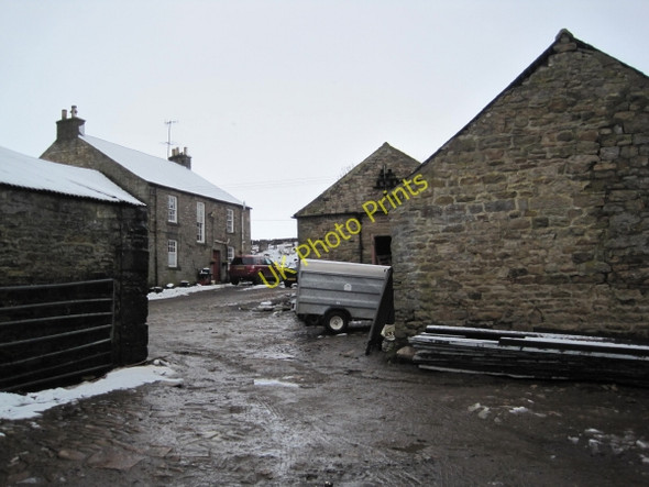 Photo 6"x4" Park Farm Allendale Town c2010