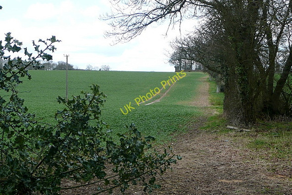 Photo 6"x4" Fields north of Bagmore Lane Herriard c2010