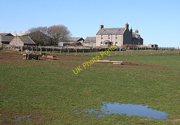 Photo 6"x4" Mains of Slains Collieston\/NK0328 c2010