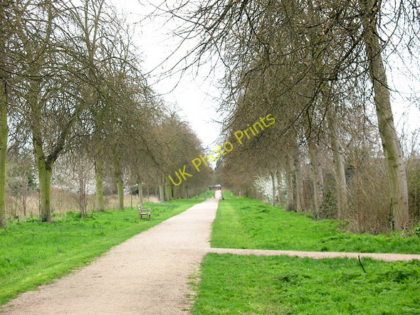 Photo 6"x4" The Avenue at Petersham Richmond\/TQ1874 c2010