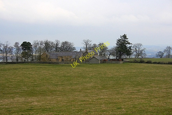 Photo 6"x4" Rye Hill Walwick c2010
