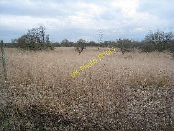 Photo 6"x4" Marshland near Park Ings Farm Flixborough Stather c2010