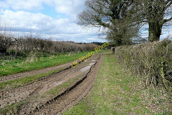 Photo 6"x4" Byway to Case Green Weston Corbett c2010